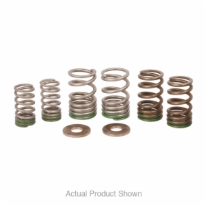 VALVE SPRINGS, KX250F 2025